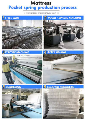 Customized Pocket Spring Unit 18cm Height 7 Zone Mattress Pocket Coils