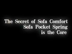 Sofa Pocket Spring unit